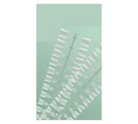 False Nails Short Half Cover False Nail Tips 150pcs Full Matte 12 Sizes No C Curve Fake Nails for Extension Art Home DIY Salon(HF D-Medium Coffin)