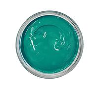 Famaco 50ml Green Menthe Leather Deluxe Cream Polish for Boot and Shoe with Application Sponge - Long Lasting Shine Protector Kit for Boots and Shoes