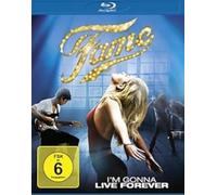 Fame (2010)