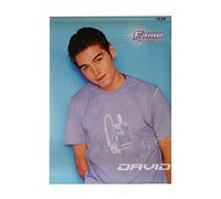 Fame Academy David Sneddon Maxi Poster