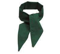 Fame Chef Neckerchief C22 - Hunter Green (WFA82013HG)