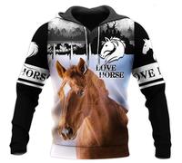 famesale 3D Printed Beautiful Horse Art Animal Hoodie Harajuku Sweatshirt Streetwear Autumn Unisex Casual Zipper Jacket Pullover