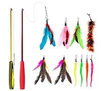 Famgee Feather Teaser Cat Toy - 2 Pcs Retractable Cat Toys Wand and 10 Replacement Refills Assorted Feathers Birds Worms Catcher with Bell, Interactive Teaser and Funny Exercise for Kitten Cats
