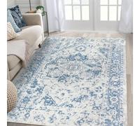 Famibay Rugs Living Room Soft Fluffy Area Rugs 160x230cm Large Boho Bedroom Rug Washable Non Slip Vintage Floor Carpet for Living Room Bedroom Dining Room
