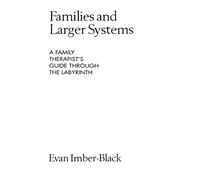 Families and Larger Systems: A Family Therapist's Guide through the Labyrinth (The Guilford Family Therapy)