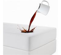 Family Bedding Terry Cotton 100 Percent Waterproof Single Bed Mattress Protector, 90 cm x 200 cm