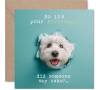 Family Birthday Card - Did Someone Say Cake? - Happy Birthday Card for Family from Colleague Friends, 145mm cute dog humorous Bday Greeting Cards