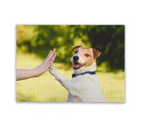 Family Fun 1000 Pieces Puzzle Dog Gives Paw to a Woman Making High Five Gesture for Players Who Like to Challenge The Difficult and Unlock More Complex Patterns in Hd