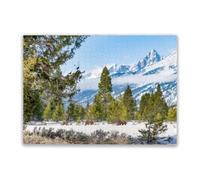 Family Fun 1000 Pieces Puzzle Grizzly Bear Sow and Yearling Cubs Make Way South in The Yellowstone Ecosystem in Western USA Holiday Fun and Modern Summer Home Decor