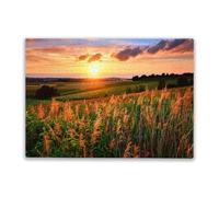 Family Fun 1000 Pieces Puzzle Setting Sun Paints The Sky and Vegetation Red Family Fun and Casual Beginner Puzzles Educational