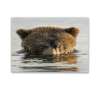 Family Fun 500 Pieces Puzzle Close up of a Kodiak Bear in The Water Suitable for Those Who Like Challenging Family Leisure and Entertainment Toys