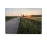 Family Fun 500 Pieces Puzzle Summer Evening at Sunset Time in Countryside with Fields Along Rural Road Large Educational Family Entertainment Toys for Adults