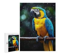 Family Jigsaw Puzzle, 500 PCS, with Blue And Gold Macaw in The Rain Artwork, An Absorbing Project for Relaxed Weekends, for Quiet Evenings