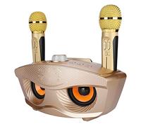 Family KTV KaraokeSpeaker with Two Microphones, Large Capacity, WirelessConnection, Support AUX, Memory Card and USB Flash Drive for Home Party (Gold)
