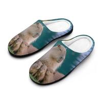 Family of Capybaras Cotton Men's Slip-on Slippers 7-8（40-41）