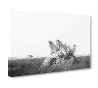 Family of Cheetahs Canvas Print | Gallery Wrapped 30mm Frame Wall Art | 30x20 inches | Ready to Hang | Abstract Animal Picture | Living Room Bedroom Lounge Office