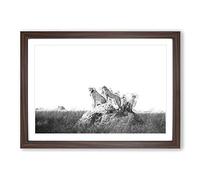 Family of Cheetahs in Abstract Framed Print | A2 Walnut Framed Wall Art | Ready to Hang | Abstract Animal Picture | Living Room Bedroom Lounge Office