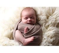 Family Photoshoot with 1 Digital image and an online gallery