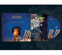 Family the Smiling Thrush: Live at Foel Studio