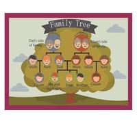 Family Tree Chart for Kids Learning - Educational Relationships Poster, Teacher Resource for Preschool, Kindergarten, Social Studies | Laminated Classroom Wall Decor(Unframed,16x24inch(40x60cm))