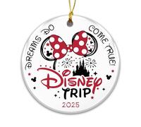 Family Vacation Trip Ornament for 2025, Magic Kingdom Park Castle with Fireworks, Memory Ornament 2025, Travel Family Land of Magic World 2025 (Min)