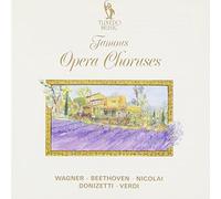 Famous Opera Overtures - Famous Opera Overtures [IMPORT]