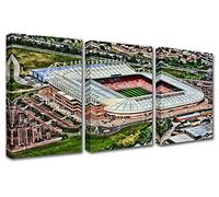 Famous Stadium, Stadium of Light Field Painting Murals 3 Canvas murals Contemporary Artists' home Decoration, Room murals, table Wall Decoration, wall Decoration, wall art, Framed, 42x20 inches