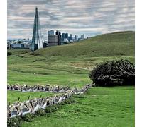 Famous - The Valley/England EP [VINYL]