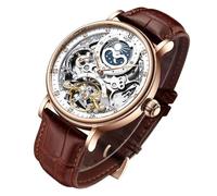FAMVNTN Men Skeleton Automatic Mechanical Wrist Watch Moon Phrase tourbillon self-Wind Watches, Brown