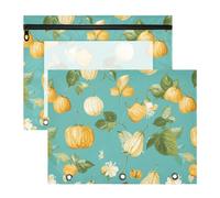 famyily Pencil Cases Portable Plastic File Folder for A4 Paper Letter 2 Pack Students School Supplies Cape Gooseberry Fruit