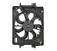 Fan, engine cooling THERMOTEC D8R021TT for RENAULT CLIO V (B7_) 1 2019-