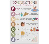 Fanboys Conjunctions for Kids Parts of Speech English Language Grammat Chart Classroom Educational Poster Metal Tin 6x8 Inch