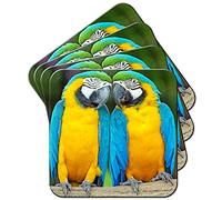 Fancy A Snuggle Colourful Macaw Parrot Couple Coaster/Set of 4 Coasters