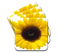 Fancy A Snuggle Yellow Square Acrylic Coasters Set of 4