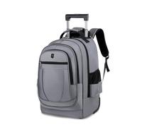 FANDARE 35L Rolling Laptop Backpack 2-in-1 Trolley Convertible Luggage Backpack with Wheels Travel Daypacks Multi-Functional Carry-On for Business Travel Trip Men School Outdoor Urban Backpacks Grey