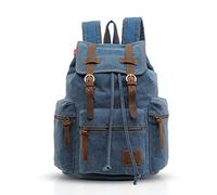 FANDARE Retro 15.6 Inch Backpack for Laptop, Laptop, Outdoor, Travel, Work, Student, Hiking, School Bags, Daypack Canvas, Blue, M, Leisure Backpack