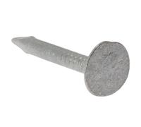 Fandf Clout Nails - Extra Large Head 3.00 x 30mm 500NLELH30GB (Bag 500gm)