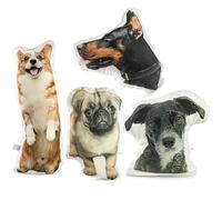 Fanery Sue Personalized Pet Memorial Pillow with Photo & Name - Custom Remembrance Throw Pillow - Pet Loss Sympathy Gift for Dog or Cat Lovers (Irregular Style)