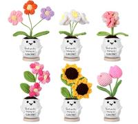 Fanfanwin 6 Pcs Thank You for Helping Me Grow Gifts for Thanksgiving Appreciation Gifts Positive Knit Pot Crochet Sunflower Handmade Presents for Christmas Teacher Women Boss Mentor(Stylish)