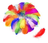 Fangehong 100Pcs Colorful Feathers, Feathers for Crafts, Crafting Feathers for Dream Catchers, 6-12cm Natural Goose Soft Feathers for Kids DIY Birthday Party Decorations (Multicolor)
