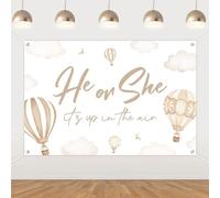 Fangleland Boho Hot Air Balloon Gender Reveal Decorations, He or She It's Up in The Air Backdrop 5x3ft Boho Theme Photography Background for Gender Reveal Baby Shower Party Supplies