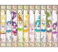 FANGMKJ DIY 5D Diamond Painting Kits for Adults Kids, Sailor Moon Series Art Round Diamond Full Drill Diamond Embroidery Kits Cross Stitch Craft Home Wall Decoration-19.7x27.6inch