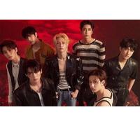 FANGMKJ DIY 5D Diamond Painting Kits for Adults Kids,Stray Kids,Full Drill Diamond Embroidery Kits Cross Stitch Pictures Arts Craft Home Wall Decoration-23.6x35.4inch