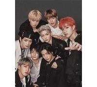 FANGMKJ DIY 5D Diamond Painting Kits for Adults Kids,Stray Kids,Full Drill Diamond Embroidery Kits Cross Stitch Pictures Arts Craft Home Wall Decoration-11.8x15.7inch