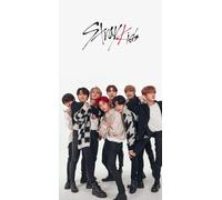 FANGMKJ DIY 5D Diamond Painting Kits for Adults Kids,Stray Kids,Full Drill Diamond Embroidery Kits Cross Stitch Pictures Arts Craft Home Wall Decoration-11.8x15.7inch