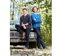 FANGMKJ DIY 5D Diamond Painting Kits for Adults Kids,Supernatural,Full Drill Diamond Embroidery Kits Cross Stitch Pictures Arts Craft Home Wall Decoration-15.7x19.7inch