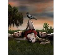 FANGMKJ DIY 5D Diamond Painting Kits for Adults Kids,The Vampire Diaries,Full Drill Diamond Embroidery Kits Cross Stitch Pictures Arts Craft Home Wall Decoration-23.6x35.4inch