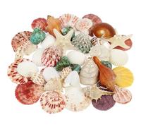 Fangoo 15 Kinds Natural Seashells Starfish Conch Various Sizes Sea Shells Mixed Beach Seashells for DIY Painting Beach Wedding and Party Decorations DIY Crafts Fish Tank