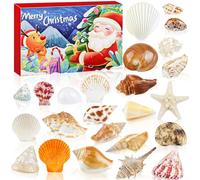 Fangoo 2025 Seashell Advent Calendar 24 Days Christmas Countdown Surprises Various Natural Seashell Starfish Conch for Learning, Collection, Scientific Gift for Shell Ocean Marine Enthusiasts