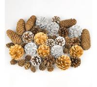Fangoo 40Pcs Natural Christmas Gold Silver Pine Cones Bulk PineCones Ornaments for Christmas Tree Decor Winter DIY Wreaths Garlands Crafts Decorating Xmas Holiday Thanksgiving Fall Bowl Fillers